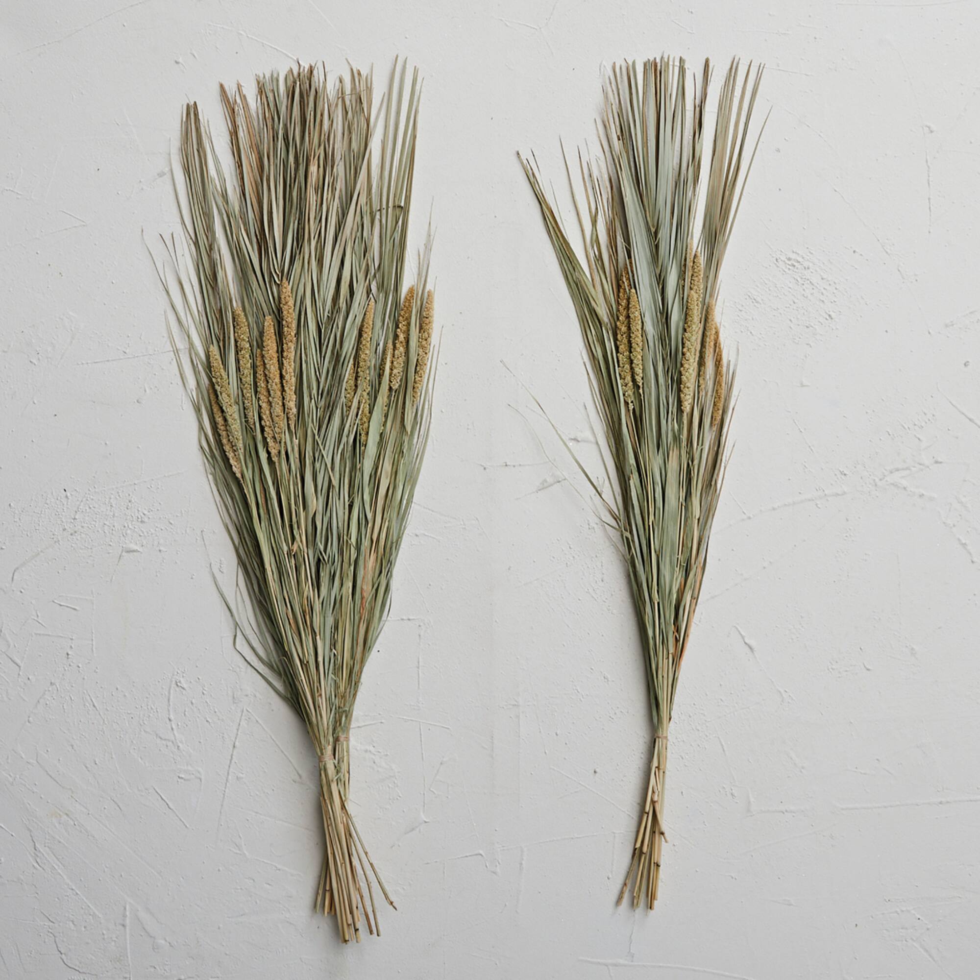 Hello Honey® 38" Dried Natural Canary Grass & Date Palm Bunch
